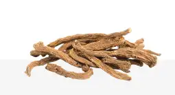 Angelica Gigas Root