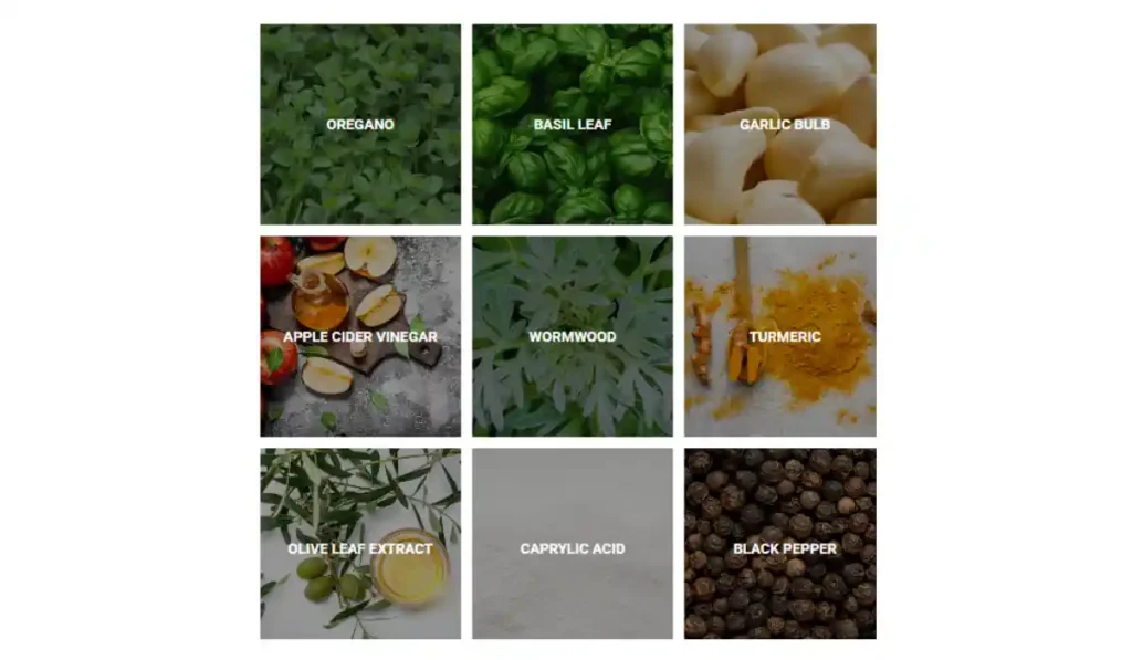 Fungus Eliminator Ingredients