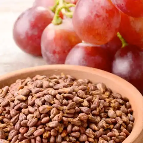 Grape-Seed-Extract